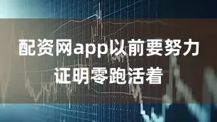 配资网app以前要努力证明零跑活着