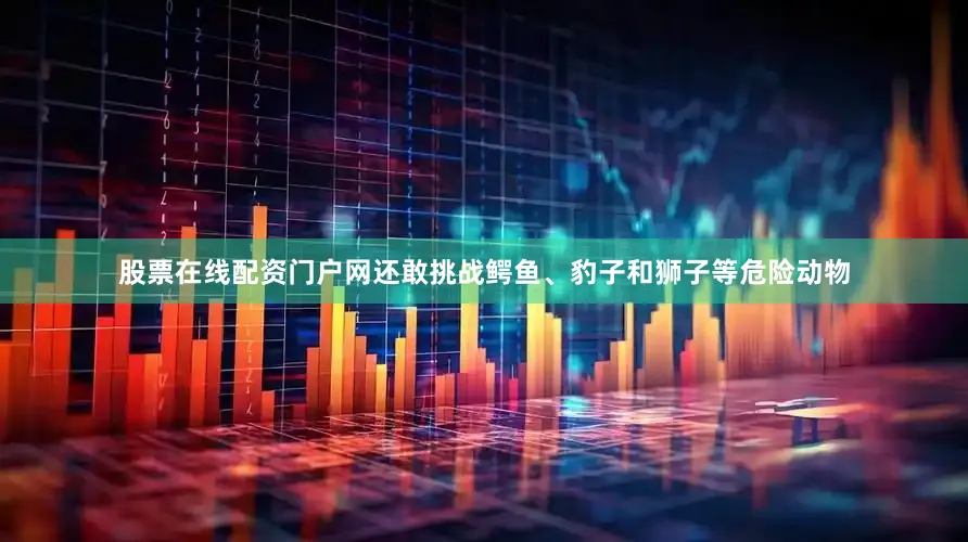 股票在线配资门户网还敢挑战鳄鱼、豹子和狮子等危险动物