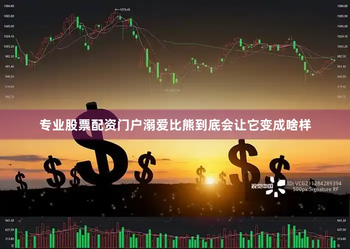 专业股票配资门户溺爱比熊到底会让它变成啥样