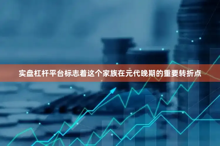 实盘杠杆平台标志着这个家族在元代晚期的重要转折点