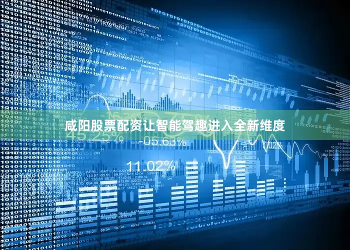 咸阳股票配资让智能驾趣进入全新维度