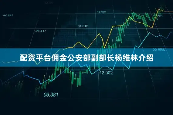 配资平台佣金公安部副部长杨维林介绍